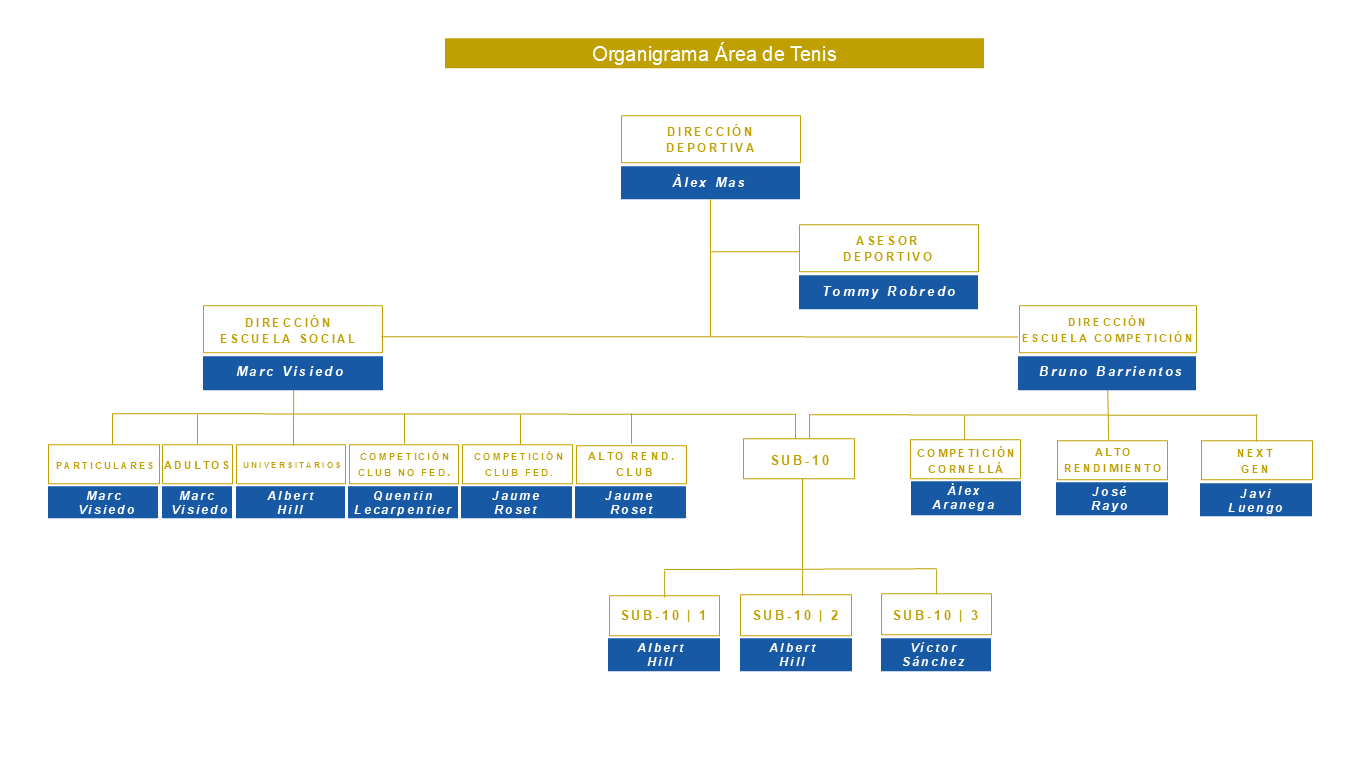 organigrama