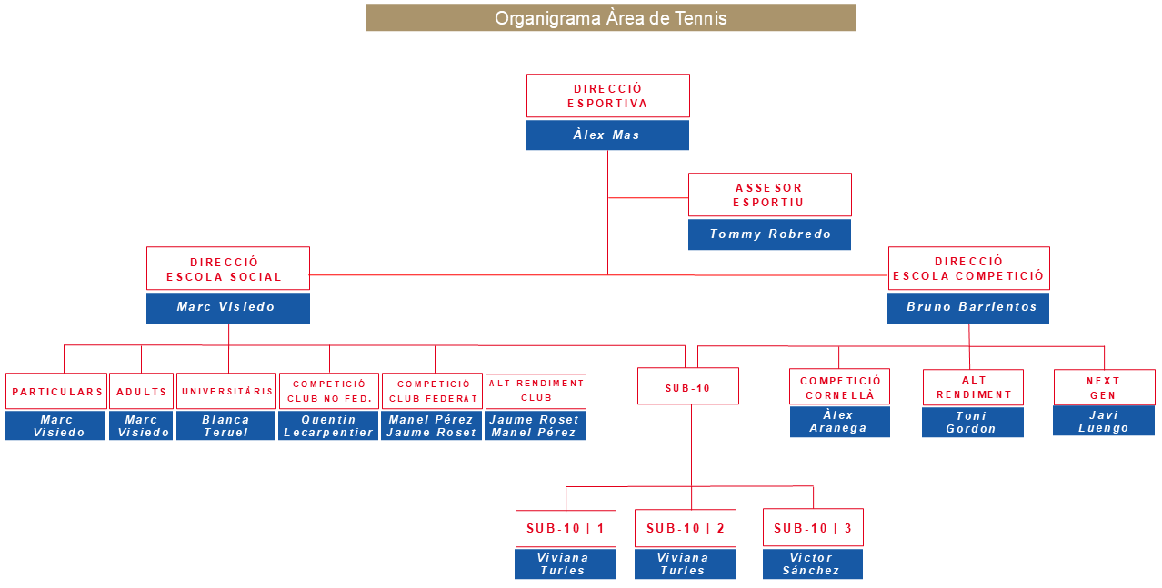 organigrama