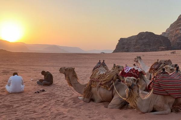 Títol de l'obra: "En la calma del desert, el sol i els camells es desperten junts de bon matí" | Autora: Eulàlia Vilardell
