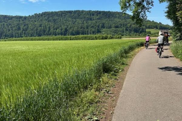 Selva Negra