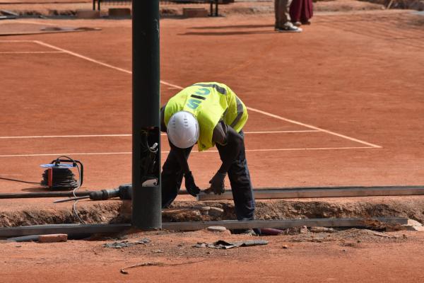 Actualización Proyecto Cipreses