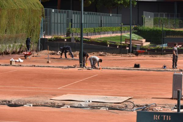 Actualización Proyecto Cipreses
