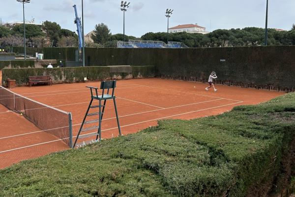 Actuación en el ciprés de la Pista 4