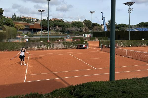 Actuació al xiprer de la Pista 4