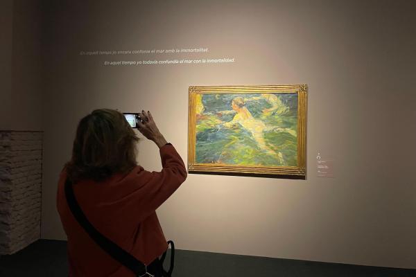 Visita cultural a l'exposició de Sorolla
