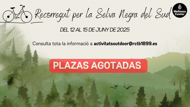 Recorrido en bici por la Selva Negra del Sur